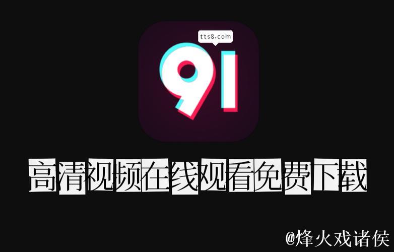 全面解析91视频在线播放平台