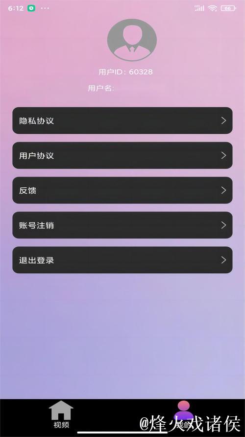 全面解析91视频在线播放平台