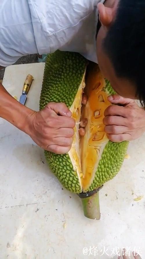 菠萝菠萝蜜在线视频观看